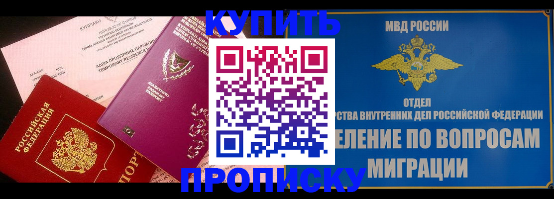 где прописаться в Нелидово